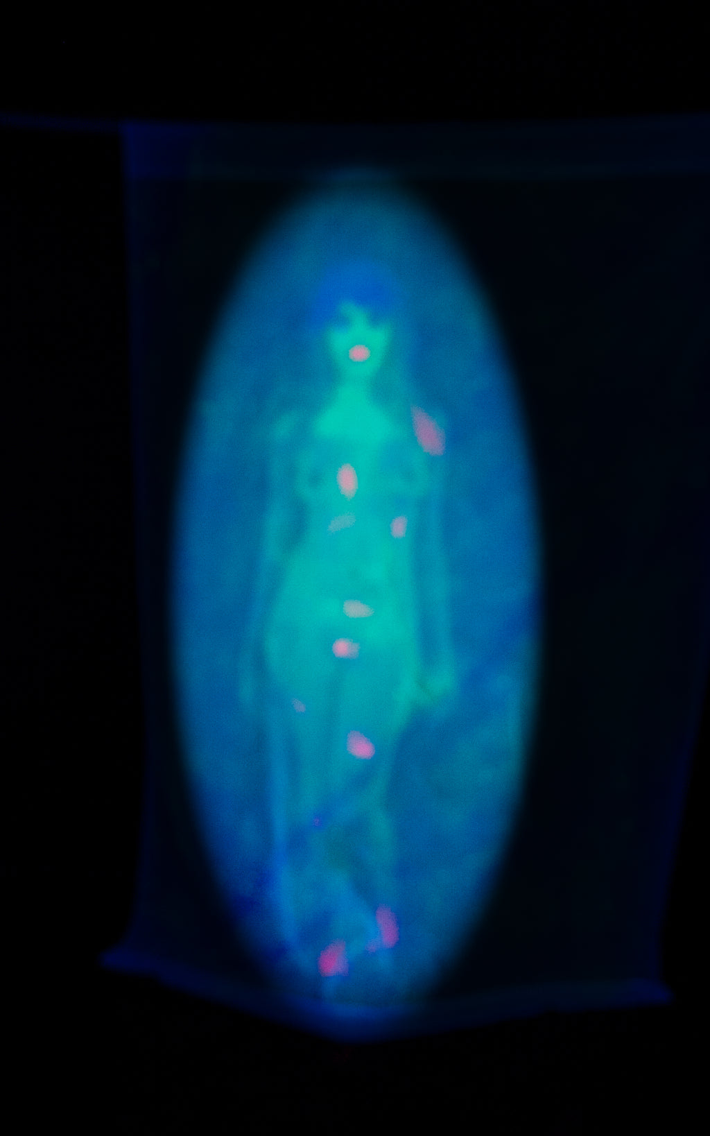 All Over Print Skater Dress