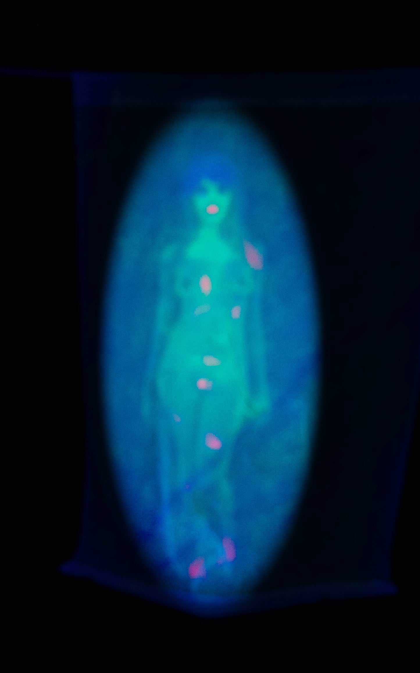 All Over Print Skater Dress