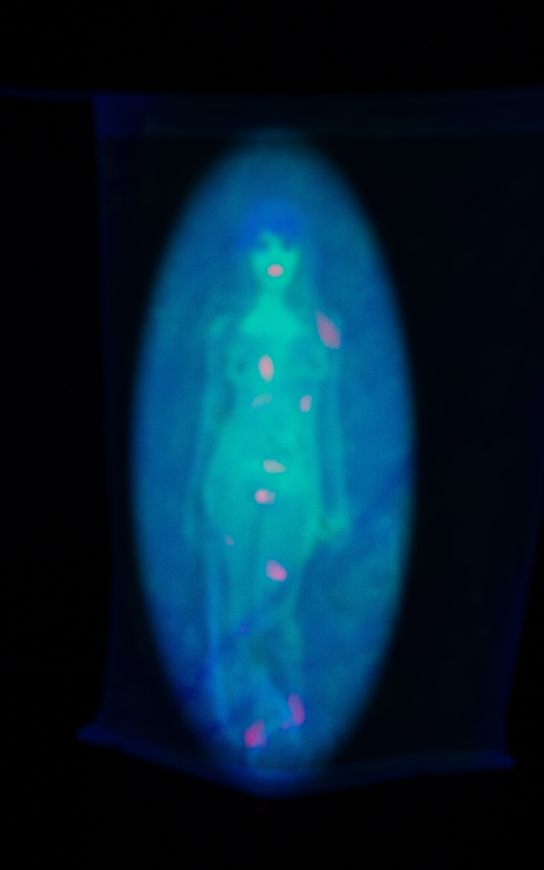 All Over Print Skater Dress