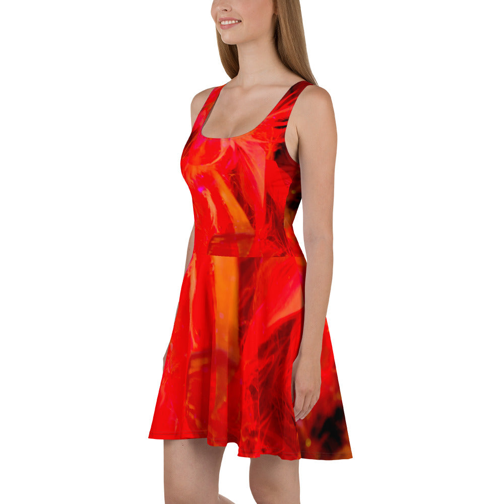 Skater Dress