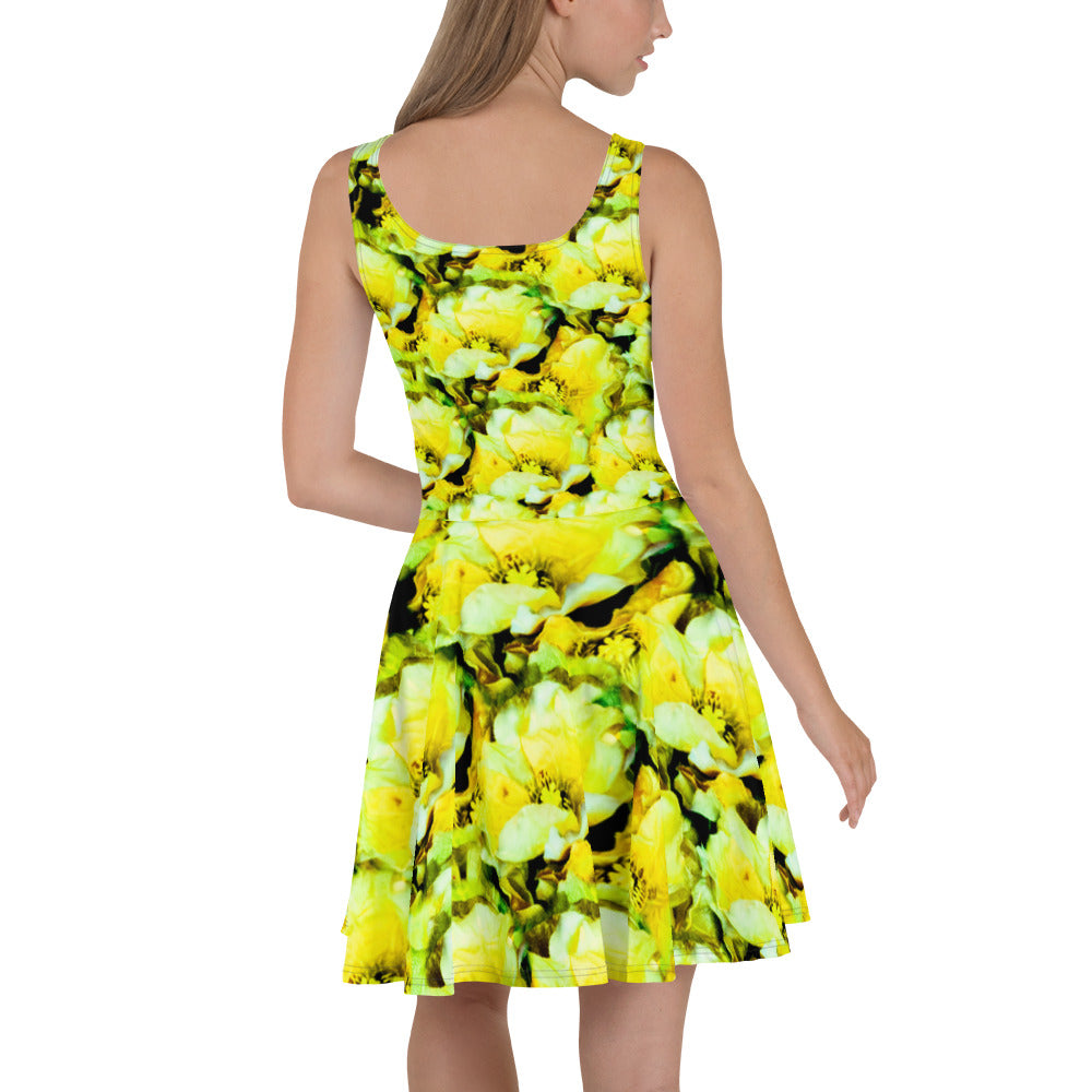 Skater Dress