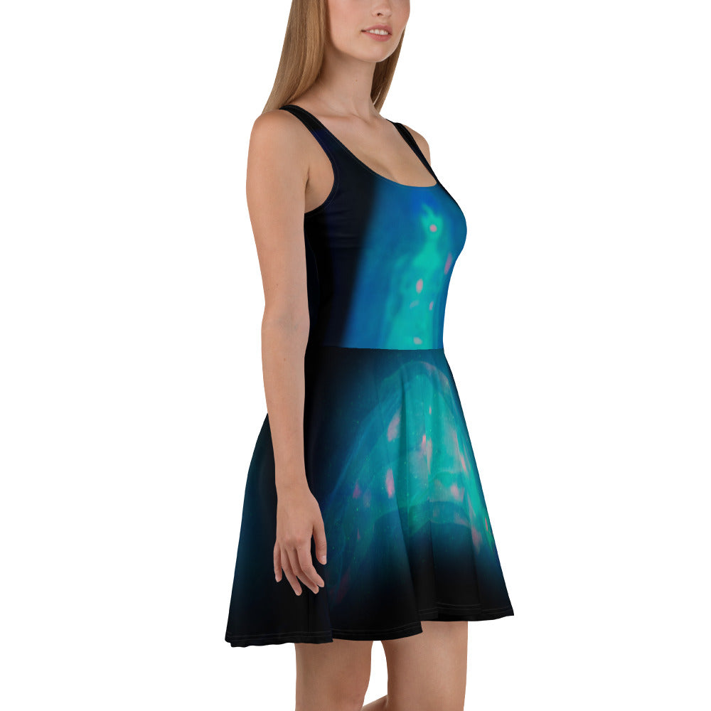 Skater Dress