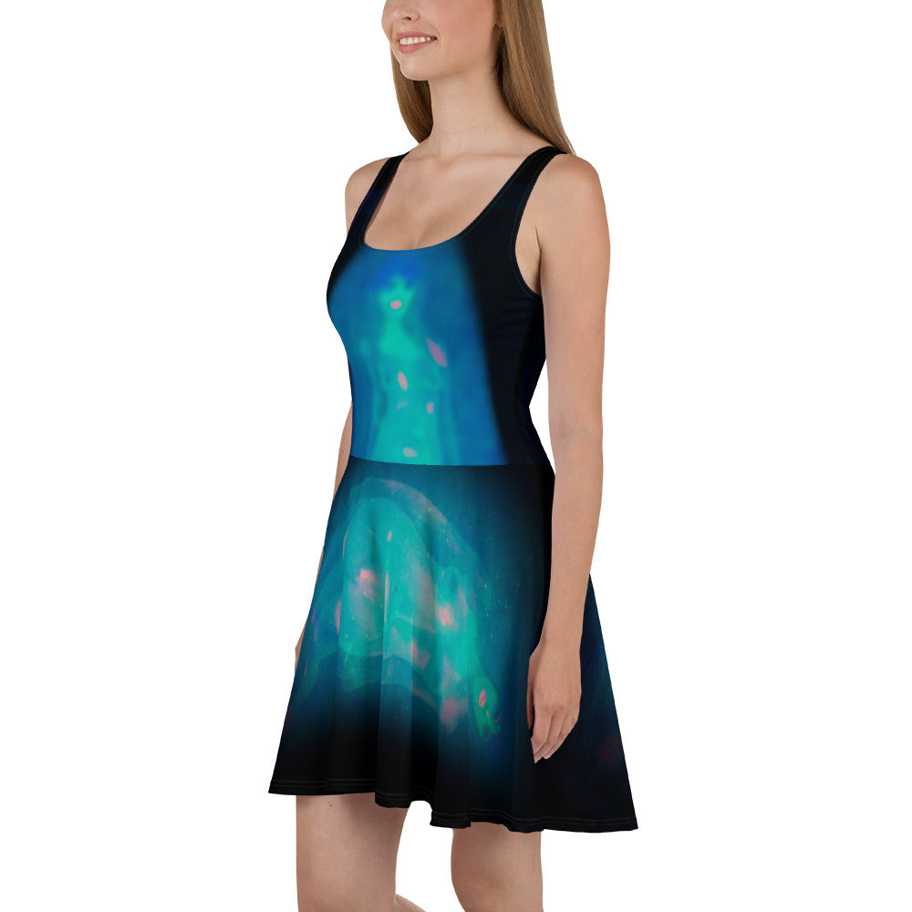 Skater Dress